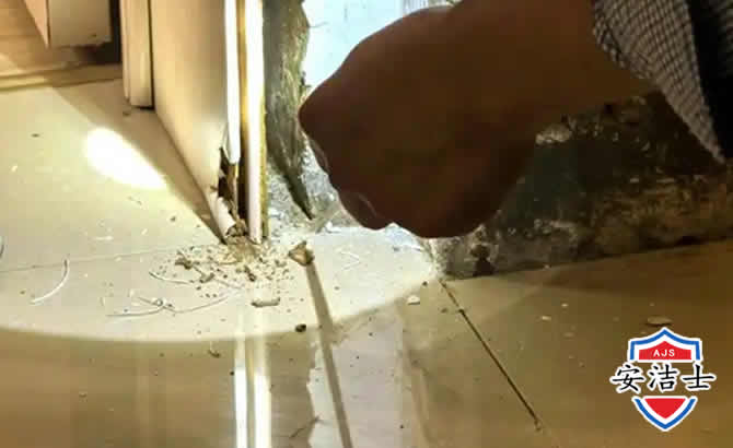 金东区房屋建筑防治白蚁