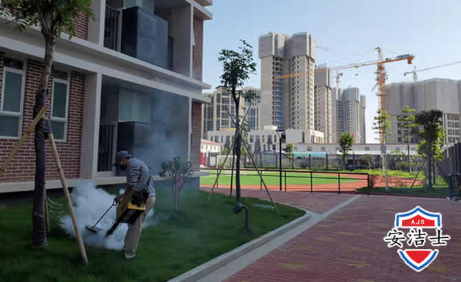 金东区工厂工地除白蚁