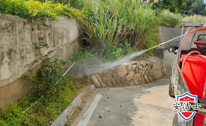 金东区道路堤坝白蚁防治