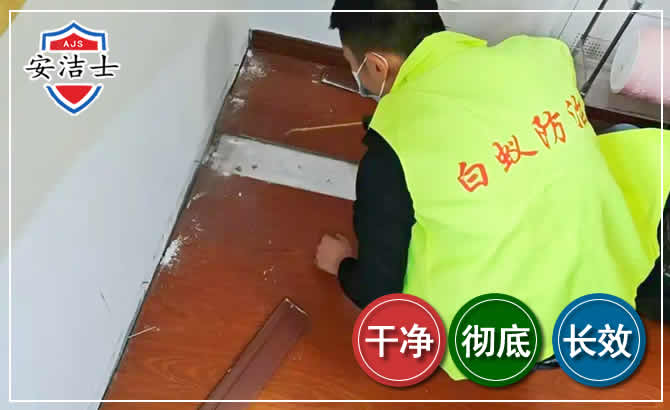 金东区除四害现场