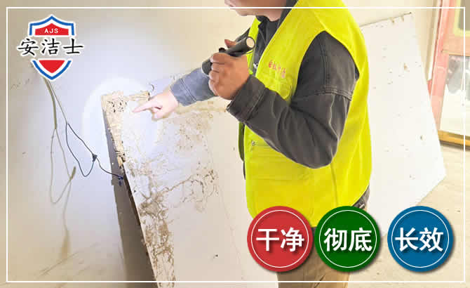 金东区除白蚁现场