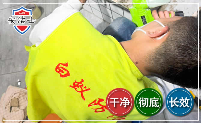 金东区白蚁根治现场